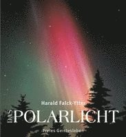 bokomslag Das Polarlicht