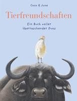 Coco & June - Tierfreundschaften, Inbunden. Tillgänglighet: Lägg i varukorg