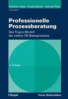 bokomslag Professionelle Prozessberatung