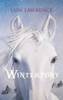 bokomslag Winterpony