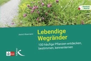 Lebendige Wegränder 1