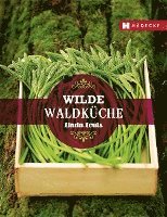 bokomslag Wilde Waldküche