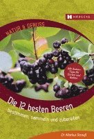 Markus Strauß - Die 12 besten Beeren, Häftad