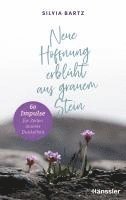 bokomslag Neue Hoffnung erblüht aus grauem Stein