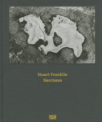 bokomslag Stuart Franklin