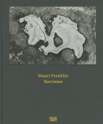 Stuart Franklin 1