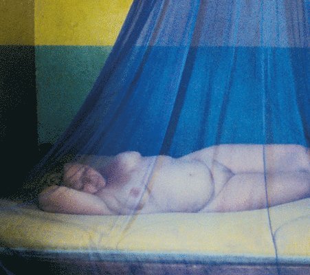 Helene Hegemann - Ulrich Seidl, Inbunden