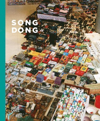 Song Dong 1