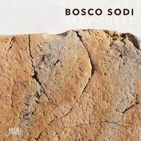 bokomslag Bosco Sodi