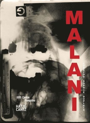 Nalini Malani: Malani