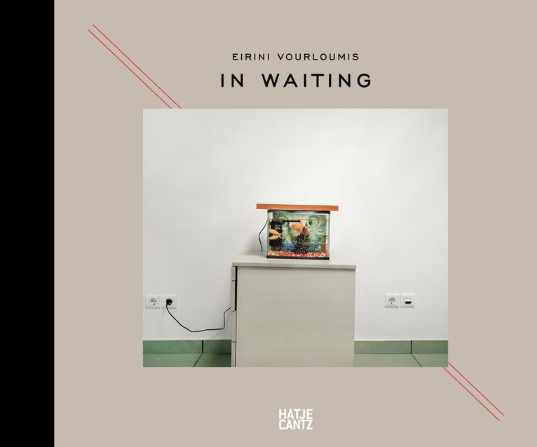 James Estrin, Panos Kokkinias, Eirini Voulourmis - Eirini Vourloumis, Inbunden