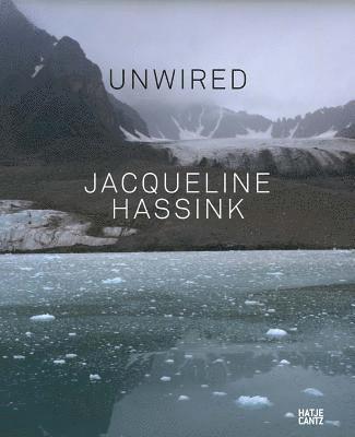 bokomslag Jacqueline Hassink: Unwired