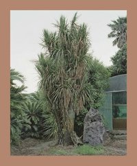 bokomslag Oksun Kim: Jeju Island