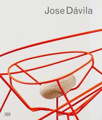 bokomslag Jose Dávila