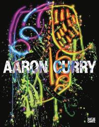bokomslag Aaron Curry