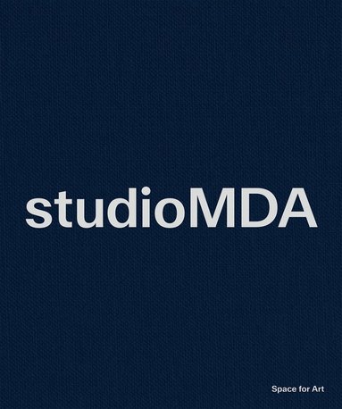 Stefania Bortolami, Roxy Paine, Victoria Siddall, Bosco Sodi, Daniel Buren, Walton Ford, Noah Horowitz, Paul Kasmin, William Kendrick, Sarah Morris, David Nolan, Joseph Nahmad, Markus Dochantschi x studioMDA - studioMDA, Inbunden