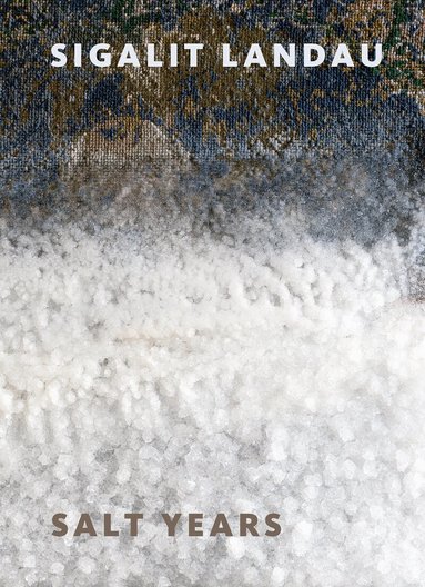 Amitai Mendelsohn, Dalia Manor, David Goss, Eli Raz, Luna Goldberg, Rona Cohen, Sigalit Landau, Tal Sterngast, Thorsten Sadowsky - Sigalit Landau: Salt Years, Inbunden