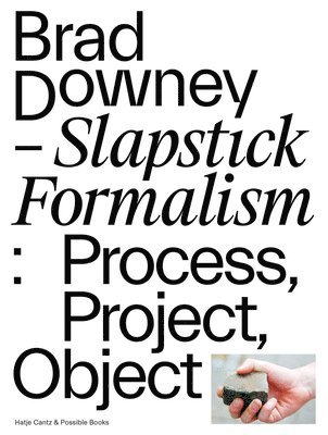 bokomslag Brad Downey - Slapstick Formalism