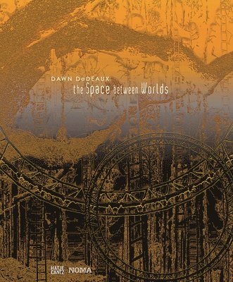 Eva Diaz, Katie Pfohl, Katie Pfohl - Dawn DeDeaux, Inbunden