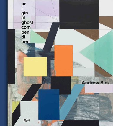 Sabine Schaschl, Museum Haus Konstruktiv, Zürich, Sabine Schaschl - Andrew Bick (Bilingual edition), Inbunden