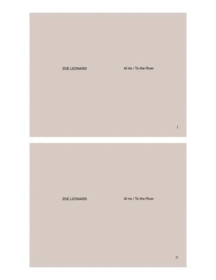 bokomslag Zoe Leonard (Multi-lingual edition)
