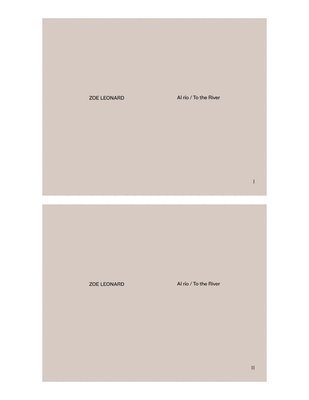 bokomslag Zoe Leonard (Multi-lingual edition)