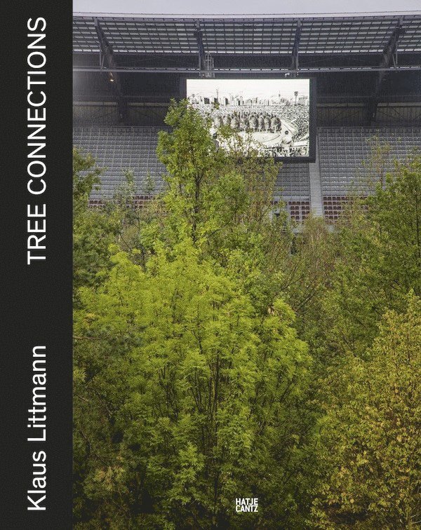 Dominique Wyss, Kulturstiftung Basel, H. Geiger - Klaus Littmann (Bilingual edition), Inbunden