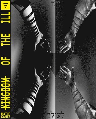 Bart van der Heide, Sara Cluggish, Pavel Pys, Bart Van Der Heide - Kingdom of the Ill (Multi-lingual edition), Häftad