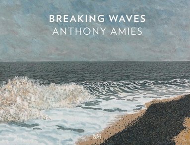 bokomslag Anthony Amies: Breaking Waves