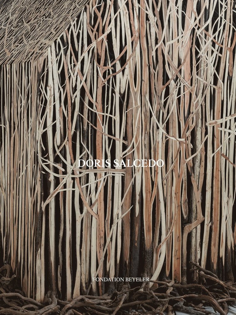 Doris Salcedo 1