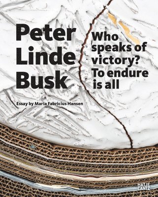 bokomslag Peter Linde Busk