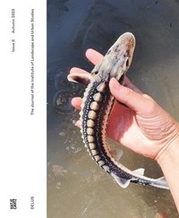 bokomslag DELUS: Issue 0