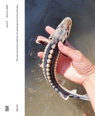 bokomslag DELUS: Issue 0