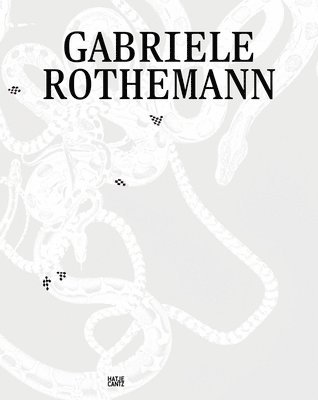 bokomslag Gabriele Rothemann: Works (Bilingual edition)
