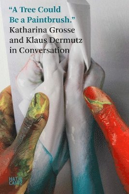 bokomslag Katharina Grosse: In Conversation with Klaus Dermutz