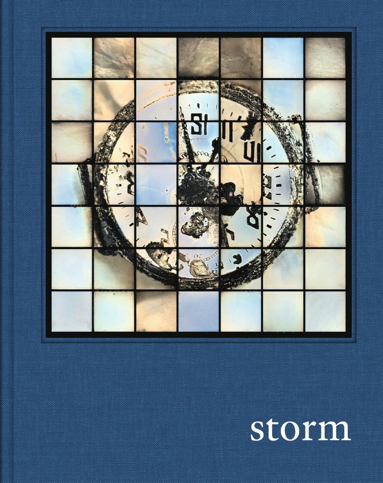 Stephen Barber, Stephen Barber, Michael Benson - Prix Pictet: Storm, Inbunden