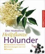 Heilpflanze Holunder 1
