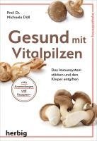 bokomslag Gesund mit Vitalpilzen