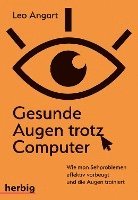 bokomslag Gesunde Augen trotz Computer