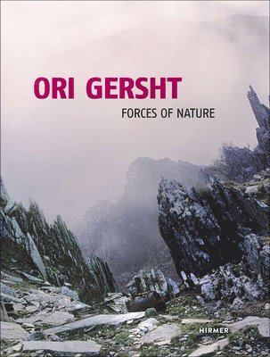 Ori Gersht 1