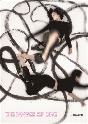 Marzia Faietti, Gerhard Wolf - Power of Line, Inbunden