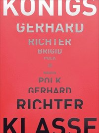 bokomslag Gerhard Richter - Brigid Polk