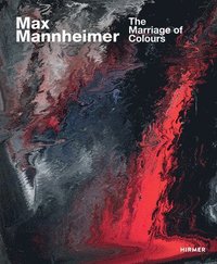 bokomslag Max Mannheimer