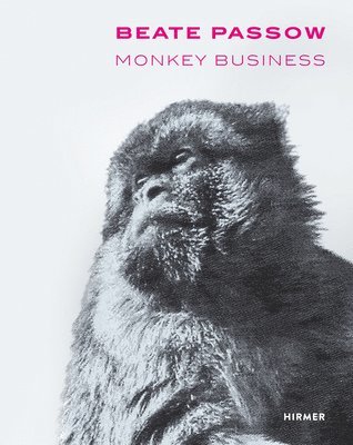 bokomslag Beate Passow: Monkey Business