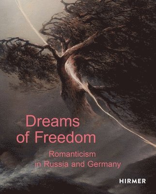 bokomslag Dreams of Freedom