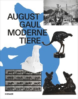 Katharina Lee Chicester, Nina Zimmer - August Gaul: Moderne Tiere, Häftad