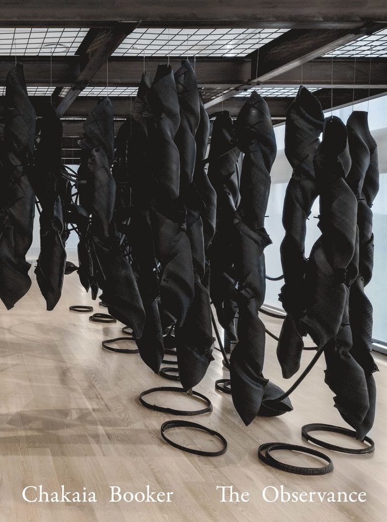 Alex Gartenfeld, Stephanie Seidl, Stephanie Seidel - Chakaia Booker, Inbunden