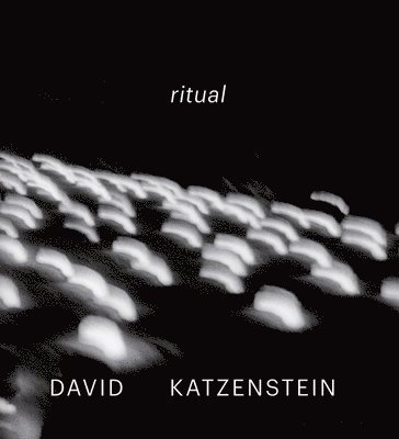 David Katzenstein 1