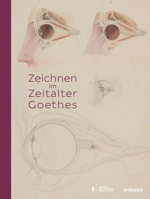 bokomslag Zeichnen im Zeitalter Goethes