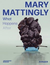 bokomslag Mary Mattingly